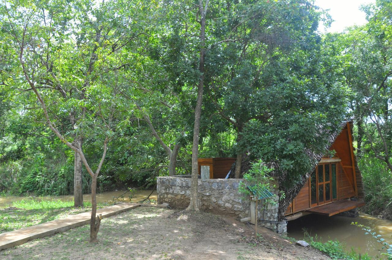 Raintree Villa Dambulla Exterior foto