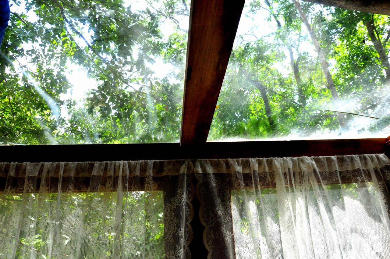 Raintree Villa Dambulla Exterior foto